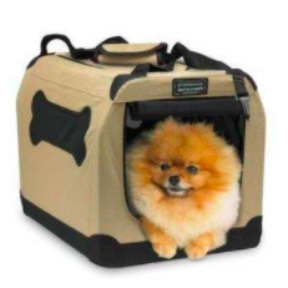 PET1 PET1